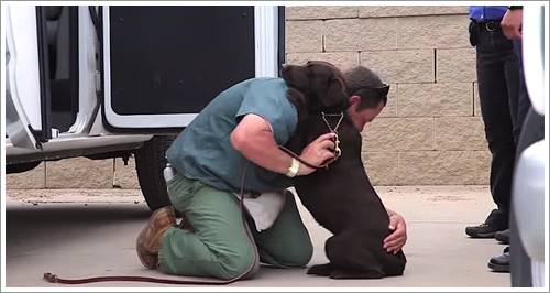 Dogilike.com :: น้ำตาซึม! ภาพการบอกลาครั้งสุดท้ายของชายนักโทษและสุนัขจากบ่อนพนันสุนัข (มีคลิป) Dogilike.com :: น้ำตาซึม! ภาพการบอกลาครั้งสุดท้ายของชายนักโทษและสุนัขจากบ่อนพนันสุนัข (มีคลิป)