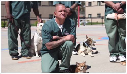 Dogilike.com :: น้ำตาซึม! ภาพการบอกลาครั้งสุดท้ายของชายนักโทษและสุนัขจากบ่อนพนันสุนัข (มีคลิป) Dogilike.com :: น้ำตาซึม! ภาพการบอกลาครั้งสุดท้ายของชายนักโทษและสุนัขจากบ่อนพนันสุนัข (มีคลิป)