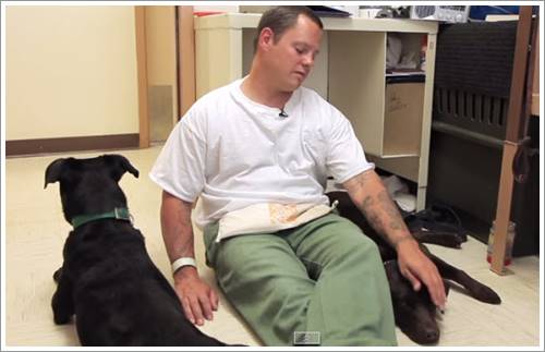 Dogilike.com :: น้ำตาซึม! ภาพการบอกลาครั้งสุดท้ายของชายนักโทษและสุนัขจากบ่อนพนันสุนัข (มีคลิป) Dogilike.com :: น้ำตาซึม! ภาพการบอกลาครั้งสุดท้ายของชายนักโทษและสุนัขจากบ่อนพนันสุนัข (มีคลิป)