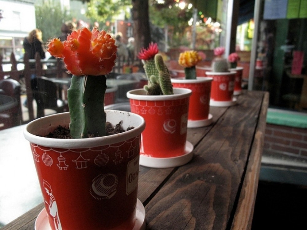 กระถางต้นไม้