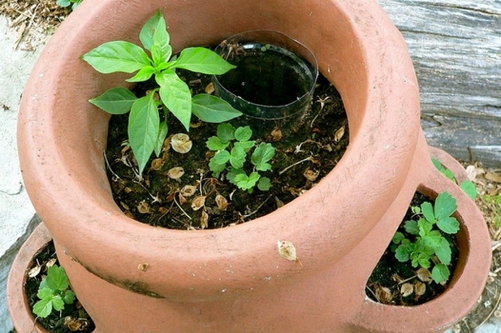 กระถางต้นไม้