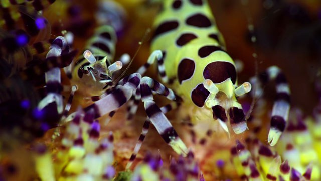 Screen Shot 2015-04-07 at 7.08.59 AM