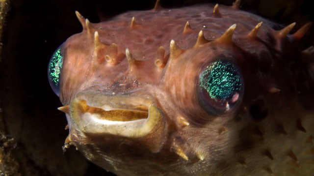 Screen Shot 2015-04-07 at 7.09.25 AM