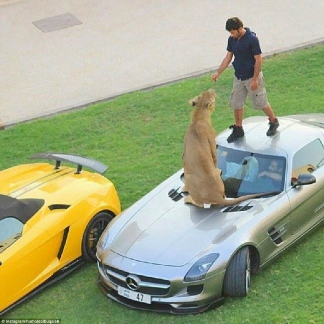 lifebuzz-9b359f735dfbeb7c4e0066fb16970cab-limit_2000