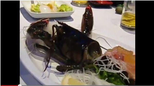 ซาชิมิ เมนูมีชีวิตสุดสยอง.jpg