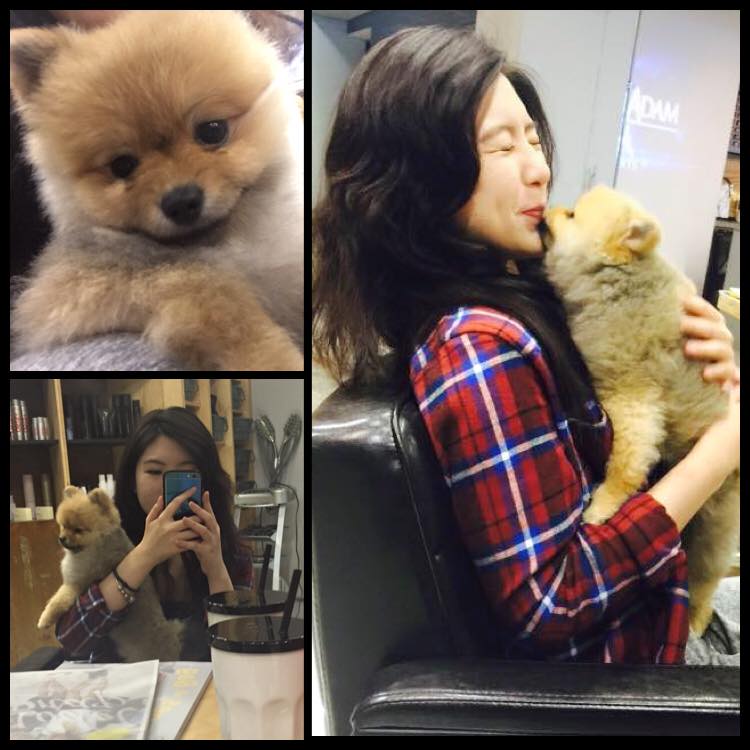 เจ้าหญิงขายหมูไต้หวัน Zhang Caijie สื่อไต้หวันตีแผ่ คนแห่หลงกระจาย