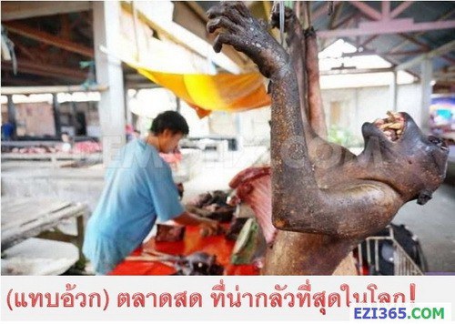 824661-img-1415611693-2