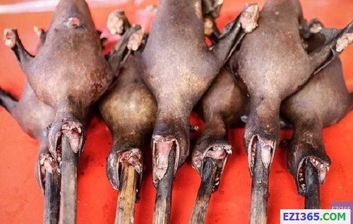 824661-img-1415611693-3