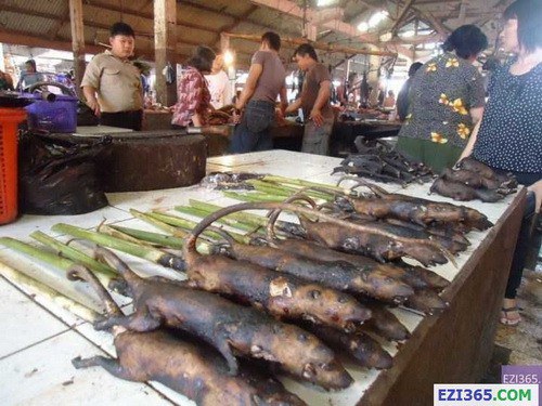 824661-img-1415611693-4