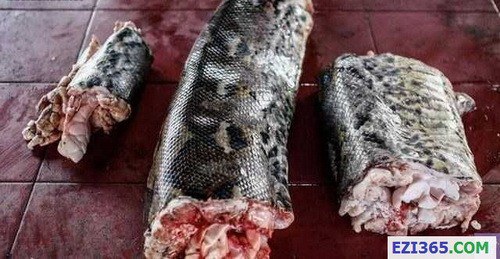 824661-img-1415611693-6