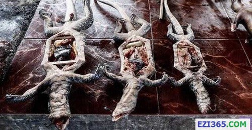 824661-img-1415611693-7