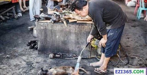 824661-img-1415611693-8