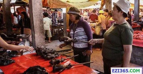 824661-img-1415611693-10