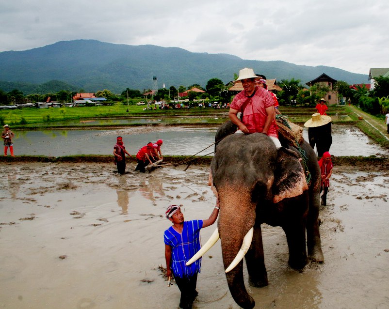 สุดยอดของไทย..ช้างไถนาเชิญชวนนักท่องเที่ยวสัมผัสของจริงที่อำเภออมก๋อย