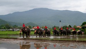 สุดยอดของไทย..ช้างไถนาเชิญชวนนักท่องเที่ยวสัมผัสของจริงที่อำเภออมก๋อย