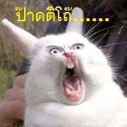 ไขปริศนา ทำไมเช้าๆ "จู๋ควรแข็ง"