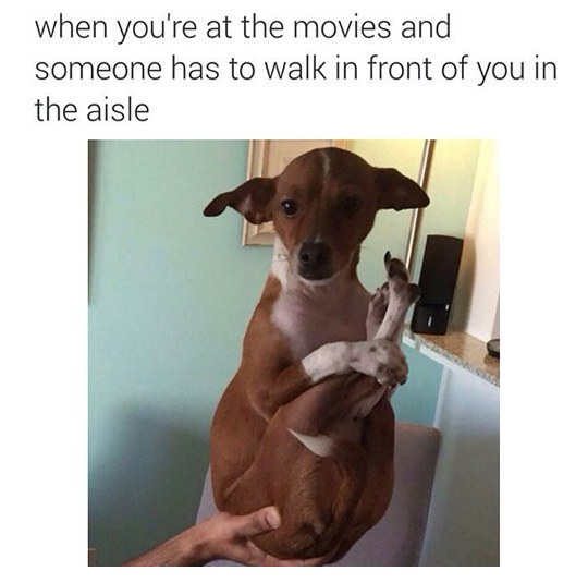 enhanced-7199-1432761414-1