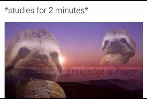 enhanced-buzz-2492-1431623306-17