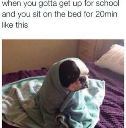 enhanced-buzz-18377-1432915218-20