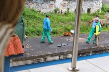 หนุ่มเก็บขยะบราซิลโดนไล่ออก!! หลังโยน "สุนัข" ที่บาดเจ็บให้รถขยะบดขยี้ร่างทั้งเป็น