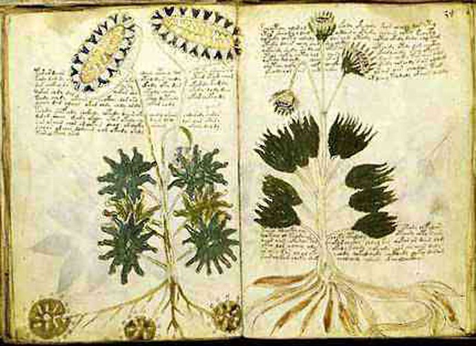 voynichmanuscript1_1