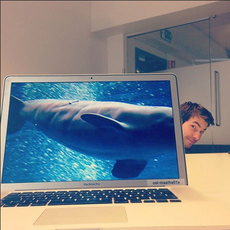 coworkers-add-their-heads-to-animals-on-desktop-backgrounds-1