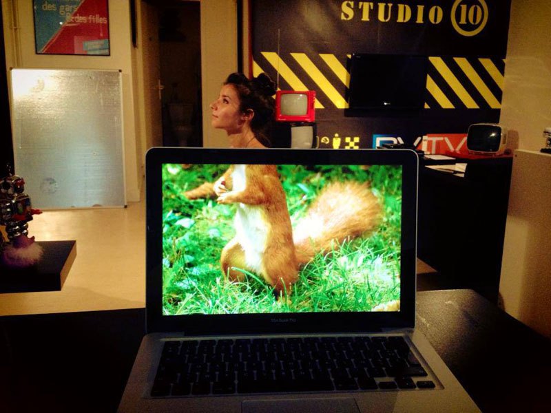 coworkers-add-their-heads-to-animals-on-desktop-backgrounds-10