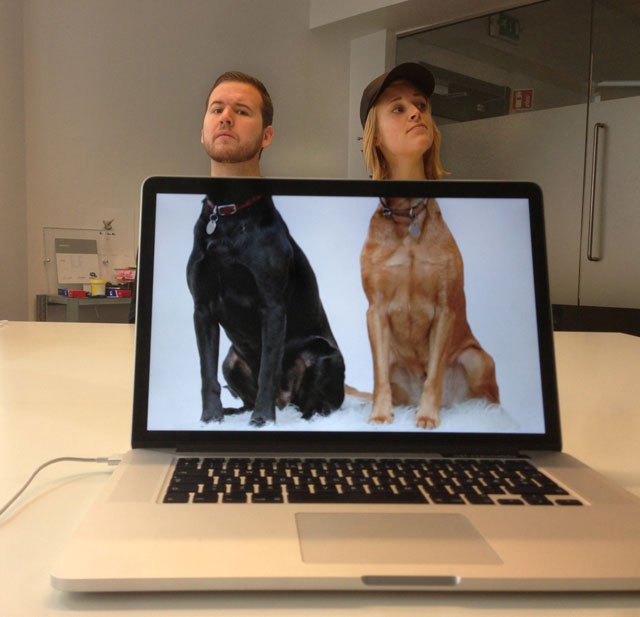 coworkers-add-their-heads-to-animals-on-desktop-backgrounds-11