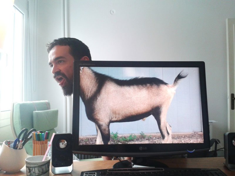 coworkers-add-their-heads-to-animals-on-desktop-backgrounds-24