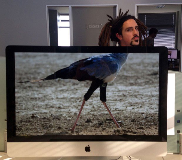 coworkers-add-their-heads-to-animals-on-desktop-backgrounds-27