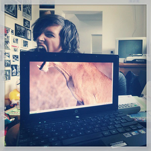 coworkers-add-their-heads-to-animals-on-desktop-backgrounds-2