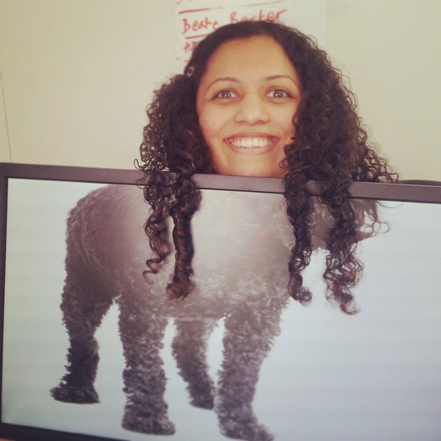 coworkers-add-their-heads-to-animals-on-desktop-backgrounds-13