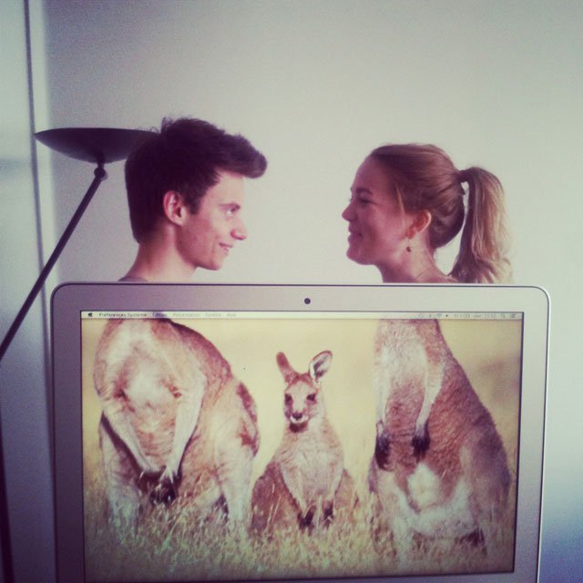 coworkers-add-their-heads-to-animals-on-desktop-backgrounds-16