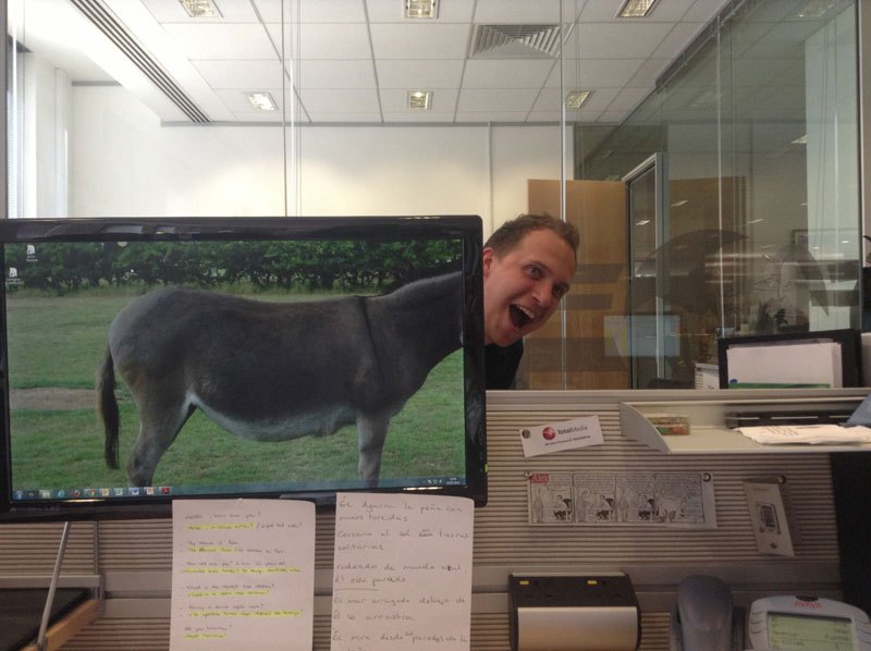 coworkers-add-their-heads-to-animals-on-desktop-backgrounds-20