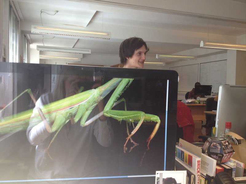 coworkers-add-their-heads-to-animals-on-desktop-backgrounds-4