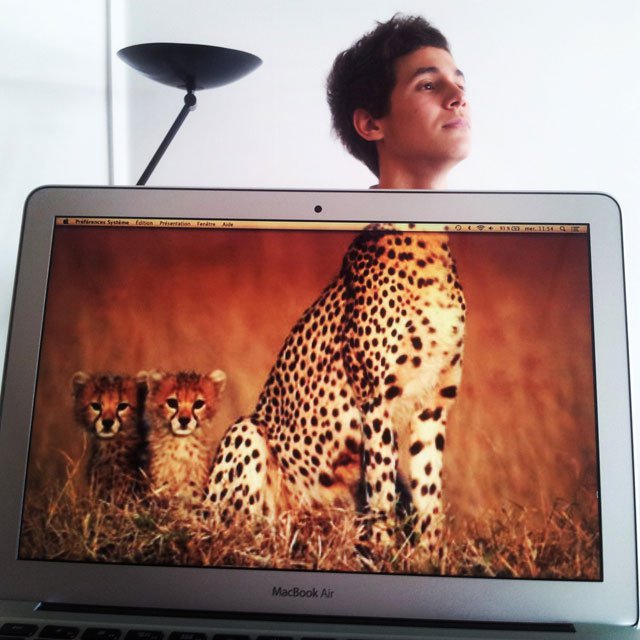 coworkers-add-their-heads-to-animals-on-desktop-backgrounds-17