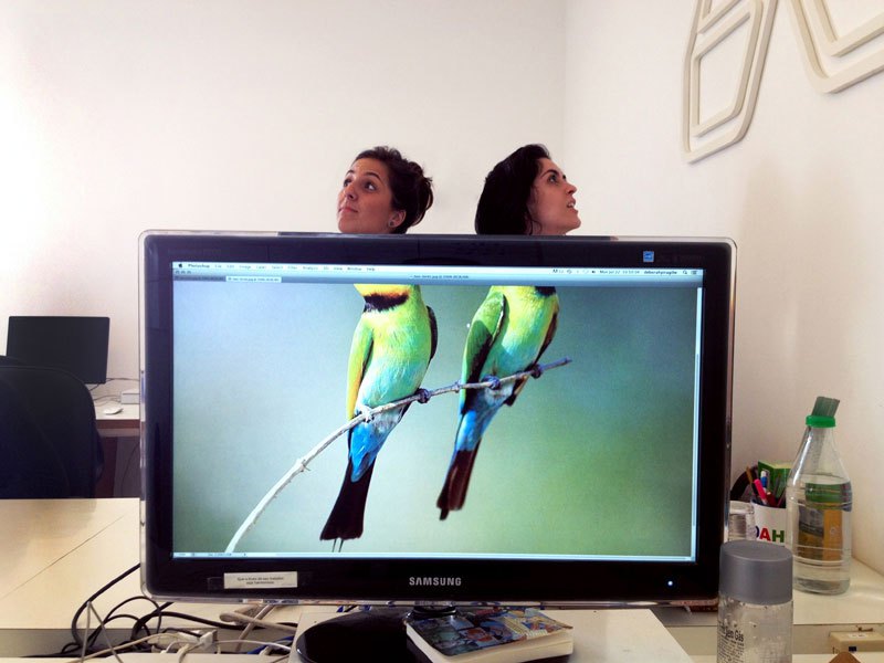 coworkers-add-their-heads-to-animals-on-desktop-backgrounds-18