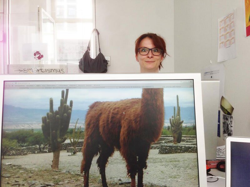 coworkers-add-their-heads-to-animals-on-desktop-backgrounds-3