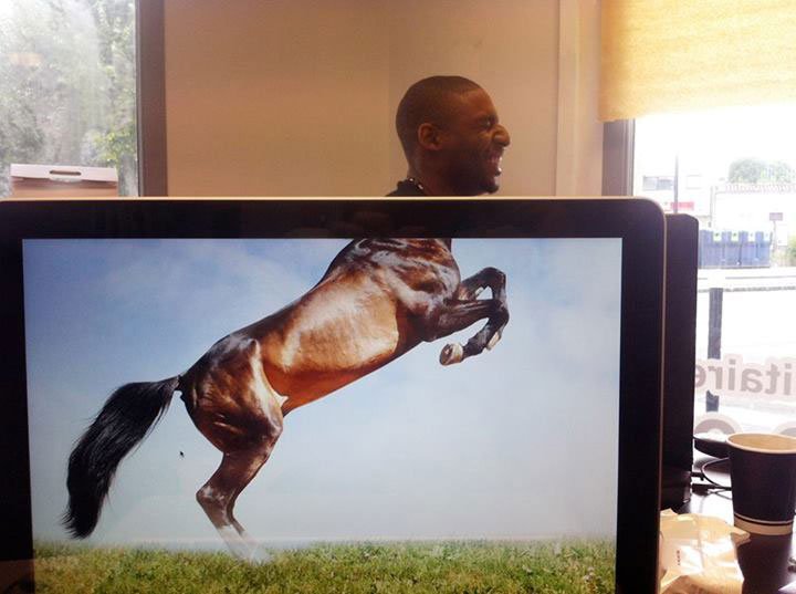 coworkers-add-their-heads-to-animals-on-desktop-backgrounds-8