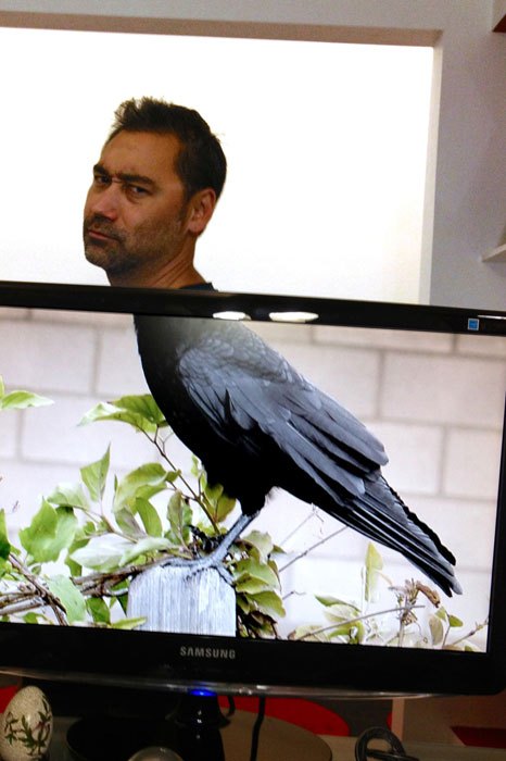 coworkers-add-their-heads-to-animals-on-desktop-backgrounds-25