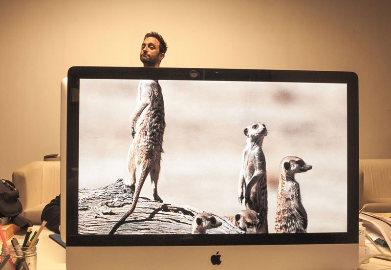 coworkers-add-their-heads-to-animals-on-desktop-backgrounds-5