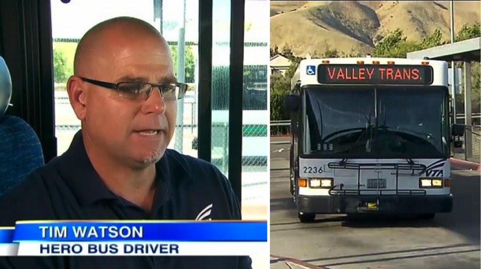 hero bus driver featured