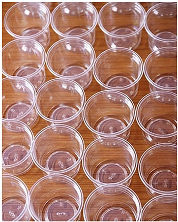 เต้าฮวยนมสด8