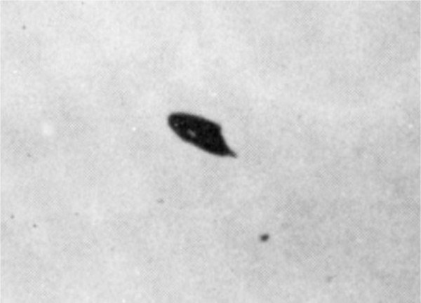 UFO นี้ถูกถ่ายได้ ที่ อริโซน่า ปี 1947