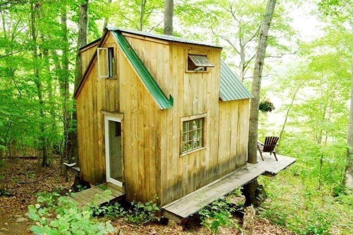 Dave was careful to position the house with a perfect view of the forest.