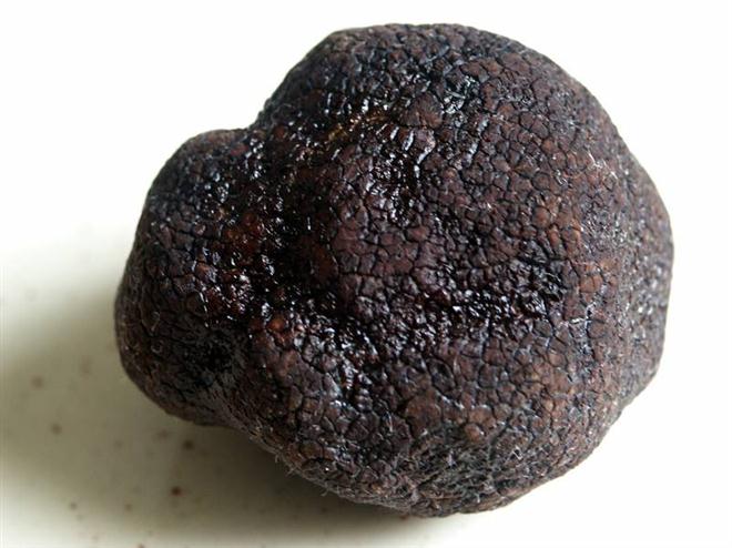 เห็ดทรัฟเฟิล (Truffle) 