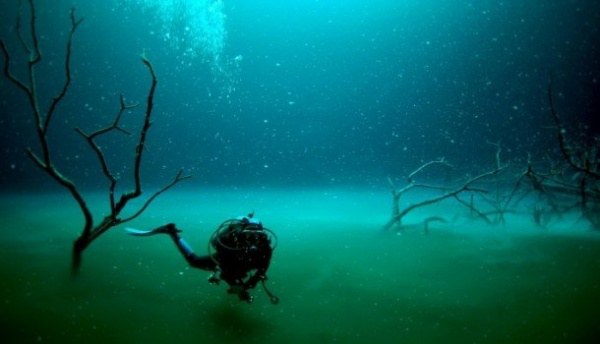 12 สิ่งมหัศจรรย์ที่คุณไม่คิดว่าจะเจอได้ในใต้มหาสมุทร!!