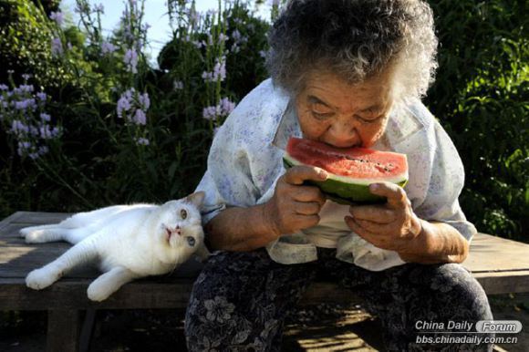 Grandma and the cat 11