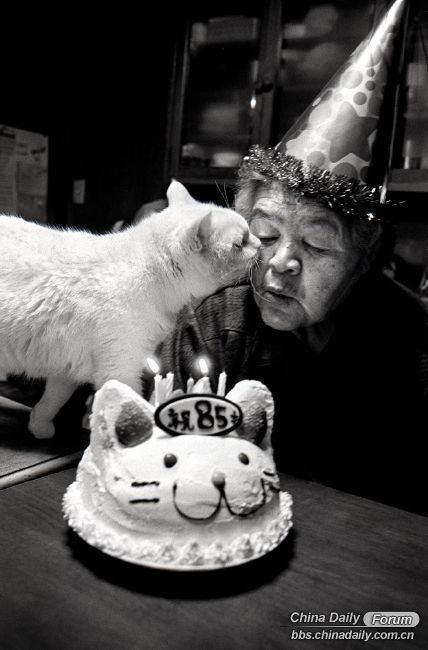 Grandma and the cat 14