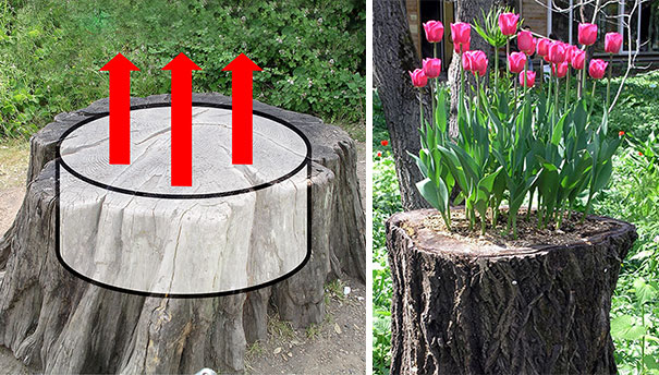 tree-stump-flower-garden-74